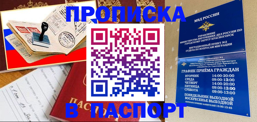 прописка паспорт в Сальске